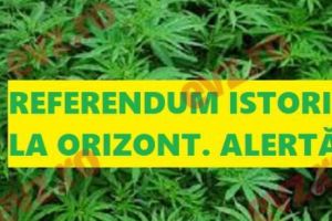 ALT REFERENDUM? A apărut primul semn. Dacă iese, SE SCHIMBĂ ISTORIA ROMÂNIEI, într-adevăr. News alert