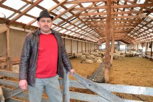 Un vestit cioban din Bihor, Ionică Sterp, participă la pichetarea Ministerului Agriculturii: Nu sprijină oierii, ci pe 