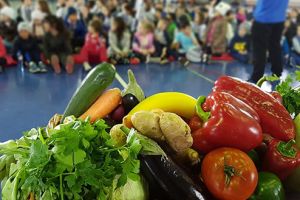 Alimentaţia sănătoasă, promovată în rândul elevilor din Haţeg