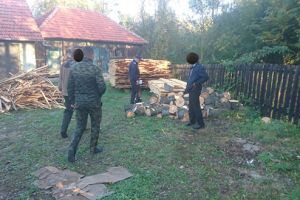 Hoţ de lemne prins la ceas de seară