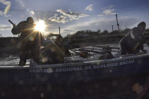 Nici braconajul nu mai e… cum a fost (II)