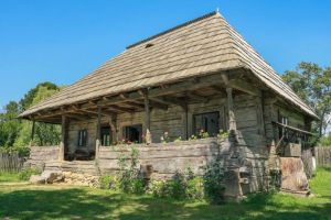 Autorităţile din Peştişani eliberează acte de proprietate pentru terenul şi adevărata casă a lui Brâncuşi!