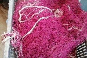 Constanta. Perchezitii la persoane banuite de furturi si braconaj piscicol. Zece persoane, retinute (galerie foto)