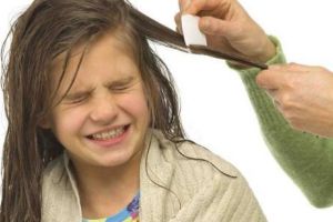 Orele de igienă ar putea scăpa România de păduchi