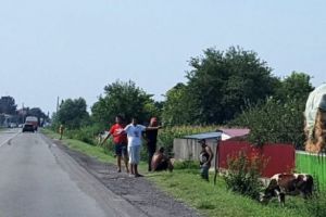 Reţea de BRACONAJ PISCICOL şi FURTURI de combustibil pe DUNĂRE, capturată de poliţiştii de la Transporturi Constanţa  