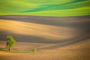 Aproape 100 de fotografi din TOATĂ lumea au participat la Salonului Internaţional de Fotografie „Ars Fotografica” Arad. Vezi fotografiile PREMIATE (GALERIE FOTO)