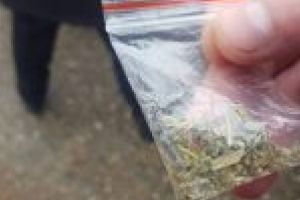 Politistii braileni au gasit 38 de pliculete cu “iarba” asupra unor tineri