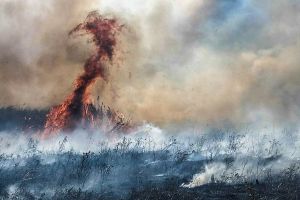 Ialomiţa: Zeci de hectare de vegetaţie uscată – distruse din neglijenţă