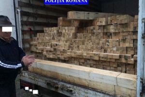 FOTO: Bărbat din Câmpeni amendat cu 3.000 de lei, pentru transport ilegal de cherestea. Materialul lemnos a fost confiscat