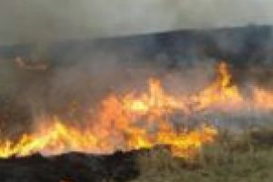 Sezonul incendiilor de vegetaţie este extrem de bogat la Moldova Nouă