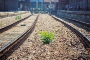 Viaţa a MII de ROMÂNI, în PERICOL în FIECARE ZI. Explicaţie OFICIALĂ HALUCINANTĂ