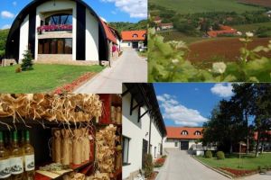 Reîncepe „Circuitul Cramelor”: Prima degustare va avea loc la Casa Vinului Brici din Mâsca, în Podgoria Miniş