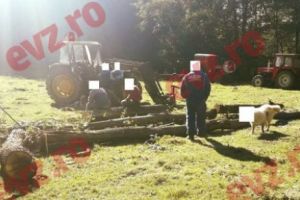 Câinele cu faţa blurată de jandarmi latră în Sălaj. POVESTEA unei FOTOGRAFII