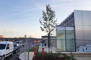 Se poate: În şantierul celui mai nou mall din Oradea au fost plantaţi copaci înainte de finalizarea lucrărilor (FOTO)