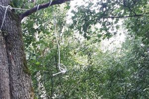 BREAKING NEWS/ Tânărul arădean care ameninţa că se SINUCIDE în vară, a fost găsit SPÂNZURAT