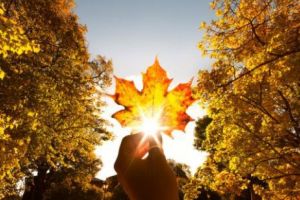 SURPRIZĂ de la METEOROLOGI. Cum va arăta VREMEA în perioada următoare. Alertă METEO