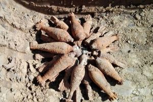 FOTO: Misiune pirotehnică reuşită