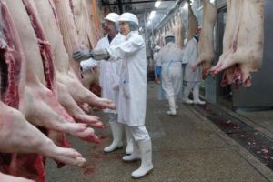 Ministrul Agriculturii: De Crăciun vom mânca porc românesc. Pesta a afectat doar o parte a producţiei