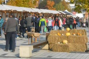 Târgul de toamnă al produselor tradiţionale locale şi Festivalul mierii
