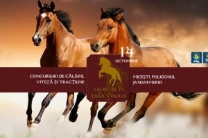 Duminică, 14 octombrie 2018, ”Tropote în ţara vinului”​: Concurs hipic răsplătit cu cadouri şi premii pentru participanţi, în poligonul jandarmeriei, din Miceşti. PROGRAMUL