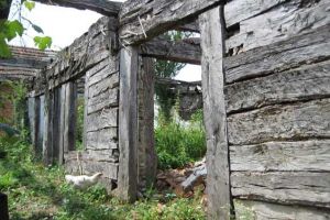 Ministrul Culturii, despre prăbuşirea casei în care s-a născut Brâncuşi