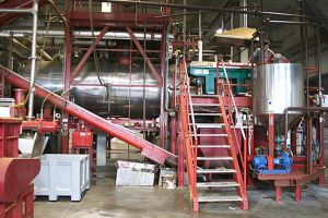 Fabrica de făină proteică din Băcia, închisă de inspectorii sanitari-veterinari