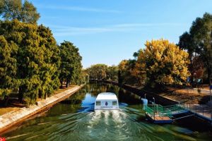 O saptamana de transport public pe Bega: numarul calatorilor tot scade