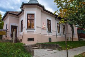Deschiderea oficială „Aesthetics Kids”, stomatologie pentru copii