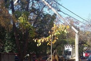 Stalp de curent rupt de muncitori, in timpul unei manevre gresite, la Timisoara