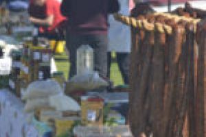 Tradiţionalul şi modernul îşi dau întâlnire la Bocşa