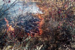 Incendiu de amploare in judetul Tulcea. Interventia este ingreunata din cauza vantului si a reliefului (galerie foto)