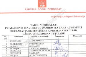 PSD face publică lista primarilor care au semnat o declaraţie de susţinere a lui Adrian Țuţuianu