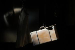 Demersuri pentru infiintarea primului teatru rom din Timisoara – Lulughi Shukar