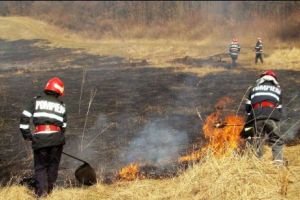 INCENDIU URIAȘ în judeţul TULCEA. Localitate în pericol

