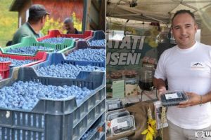 FOTO. Un agricultor din Alba susţine că a descoperit cea mai profitabilă cultură pe suprafaţă mică. În jurul acesteia a dezvoltat un business cu siropuri, dulceţuri şi sosuri – ”Bunătăţi din Apuseni”