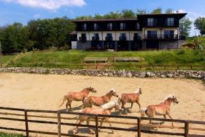 FOTO: Potcoava Mountain Hideaway, ascunzătoarea de la munte