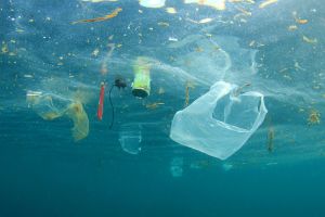 UE: Produsele de plastic de unică folosinţă, vor fi interzise începând cu 2021