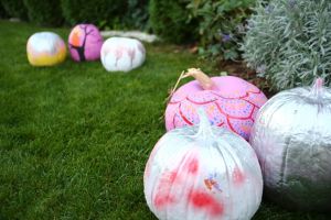 Dovleacul roz – fonduri stranse pentru constructia unei cladiri necesare bolnavilor de cancer