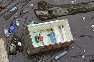 Un frigider în lacul Vidraru!