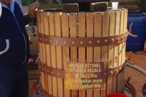 Târgul “Toamna piteşteană” se prelungeşte