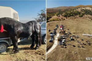 FOTO, LIVE VIDEO ”Tropote în Țara Vinului 2018”: Concursuri hipice, de tracţiune şi viteză, grătare şi muzică populară, la Miceşti