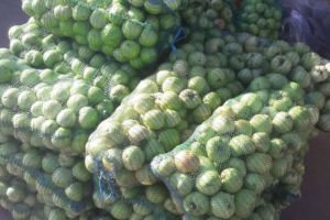 Razie cu filtre rutiere în piaţa de en gros. Tone de produse agroalimentare, confiscate