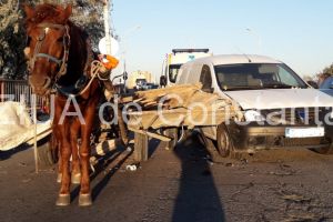 Imagini de la eveniment. Accident rutier pe podul de la Navodari. Un autoturism si o caruta, implicate. O victima (galerie foto + video) 