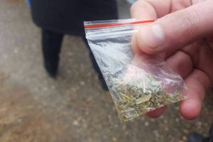 Student la Teologie, prins cu etnobotanice la Târgu-Jiu