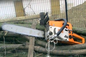 Dosar penal pentru un tânăr din judeţul Vaslui. A sustras un motoferăstrău de la o societate comercială din Stremţ