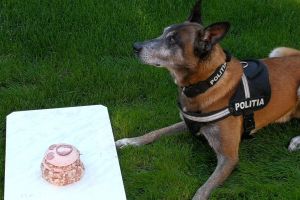 Poliţistul Zoltan LASZLO şi cel mai bun prieten, câinele poliţist NADAYAT, aniversaţi de colegii din Poliţia Harghita
