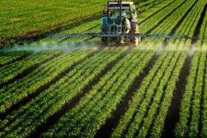 România, locul 5 în topul statelor UE cu cele mai mari vânzări de pesticide