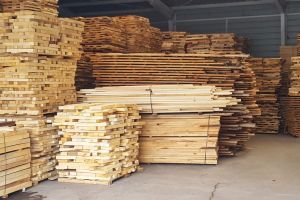 Firmă orădeană prinsă cu peste 60 mc de cherestea vândute la negru. Banii încasaţi ilegal au fost confiscaţi