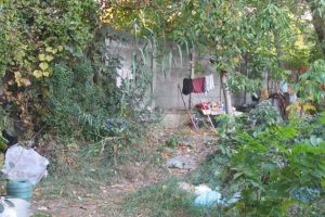 Colibe pline cu gunoaie, distruse de Politia Locala