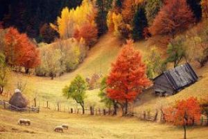 Cum va fi vremea in Maramures in intervalul 15 – 28 octombrie